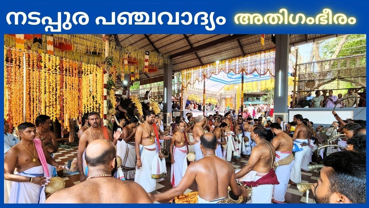 ഉഗ്രൻ  നടപ്പുര പഞ്ചവാദ്യം  | പാരക്കാട്  തങ്കപ്പൻ മാരാർ | പള്ളിവേട്ട മഹോത്സവം 2023