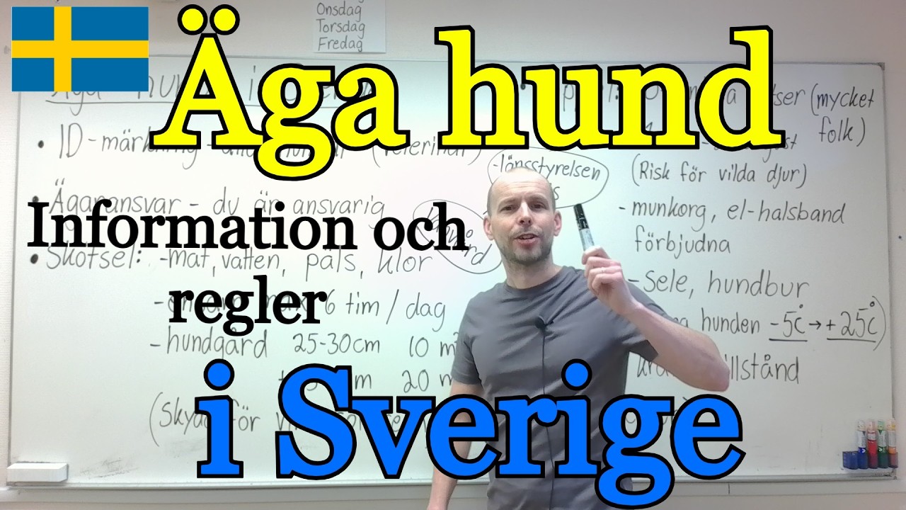 Äga hund i Sverige (regler och information) SFI