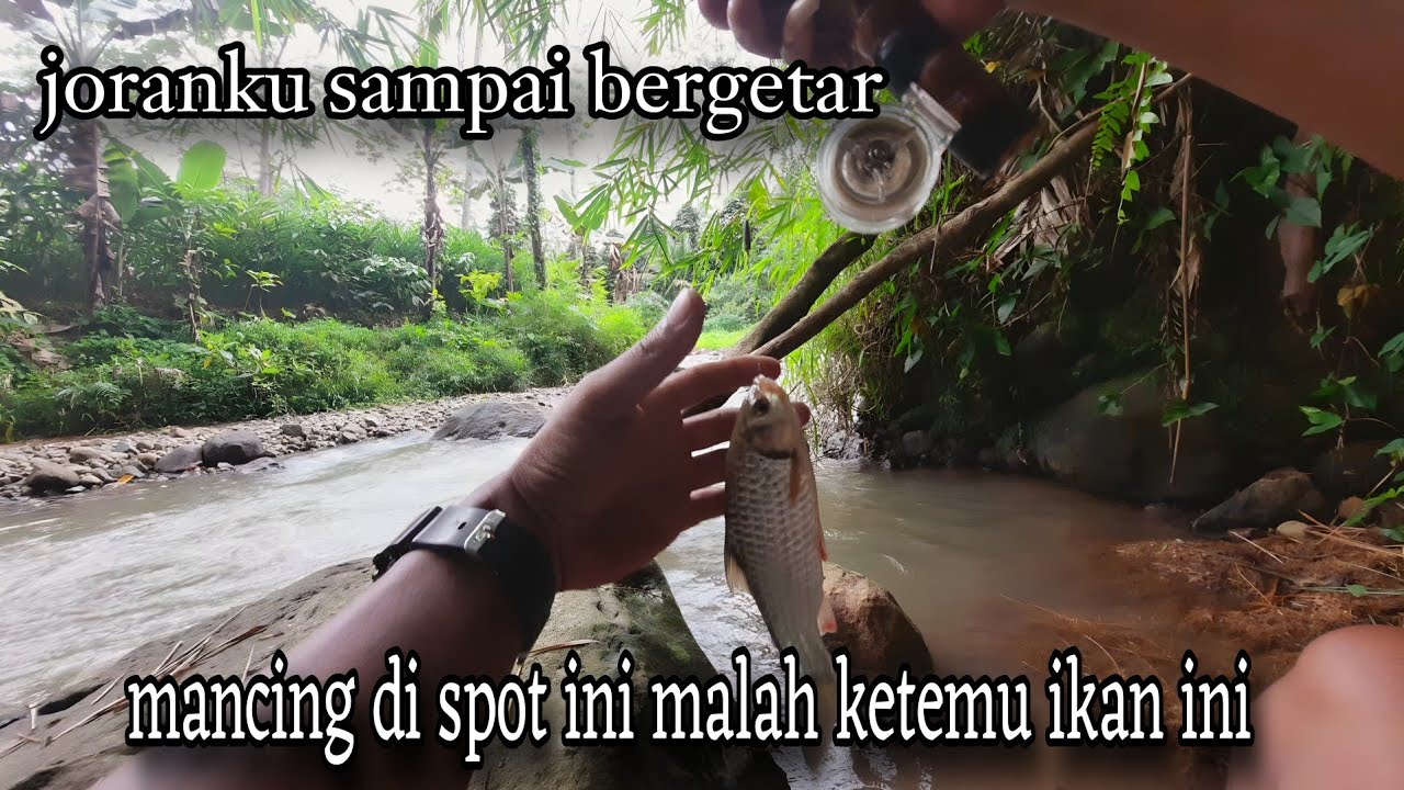 Mancing Di Spot Ini Dapat Jekpot Ikan ANEH...!!!! Mancing Uceng Bonus Babon