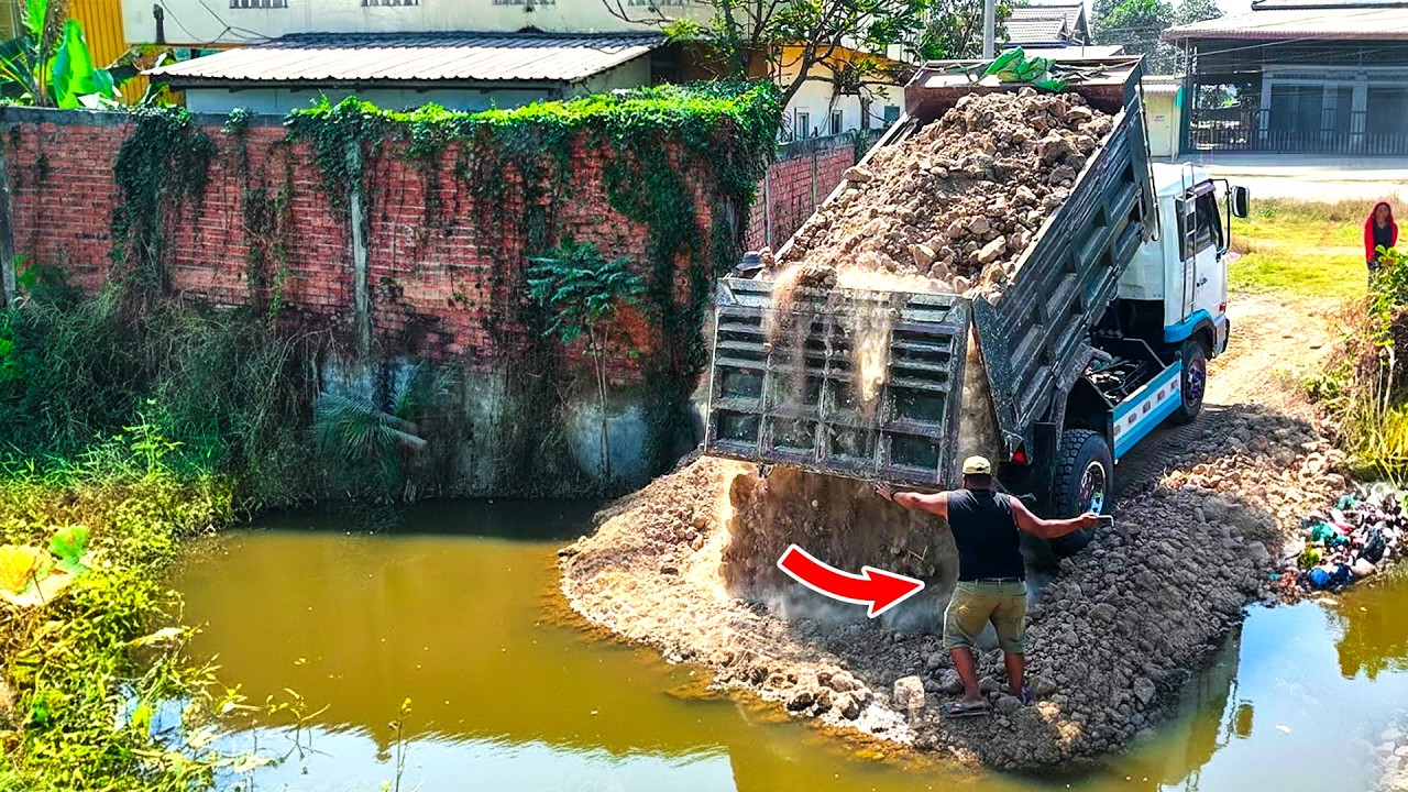 Starting a New Project! Expert Bulldozer & 5T Dump Truck Pour Soil into Pond