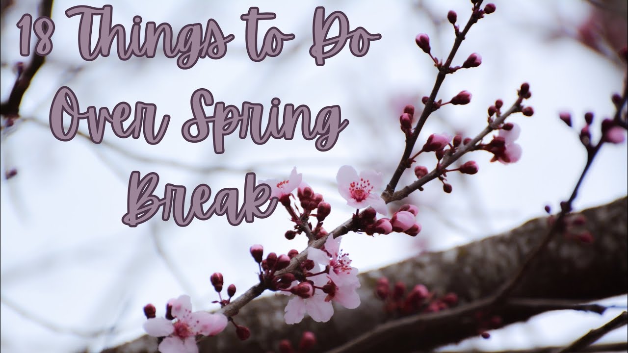 18 Things To Do Over Spring Break