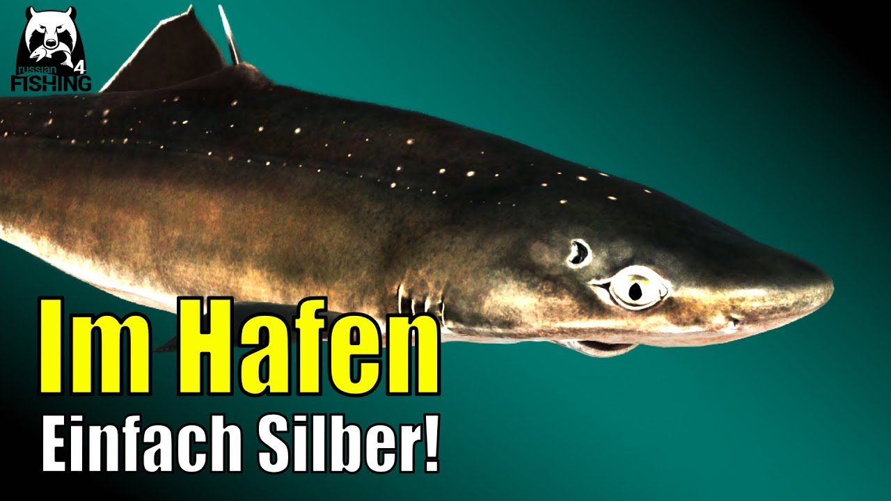 Russian Fishing 4 - Nordmeer - Ganz einfach! Silber im Hafen! Dornhai, Steinbutt, Kliesche #rf4