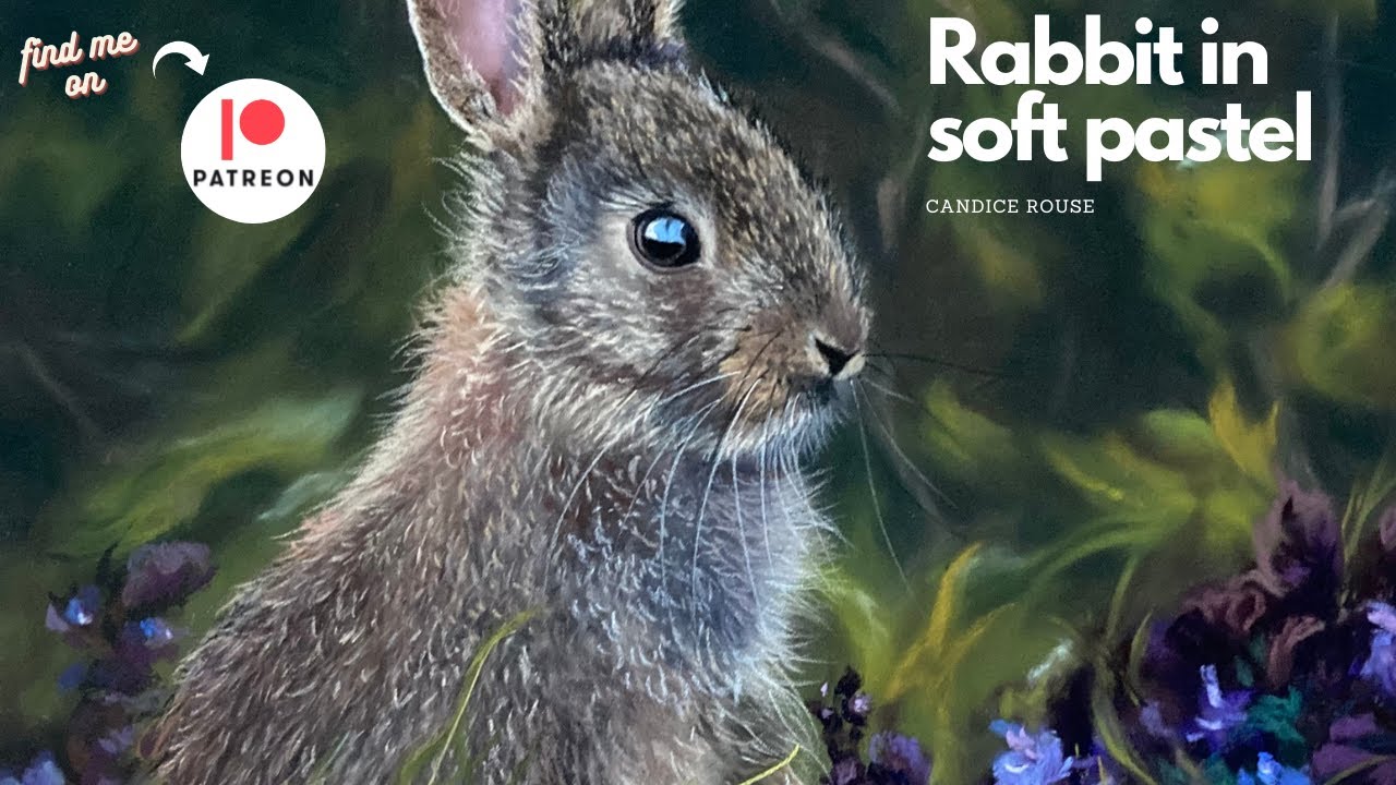 Rabbit in Soft Pastel Timelapse 1