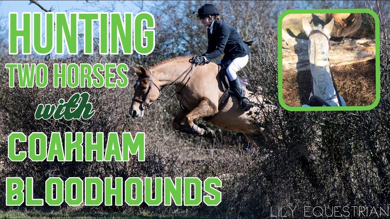 HUNTING TWO HORSES IN ONE DAY! COAKHAM BLOODHOUNDS *GOPRO*