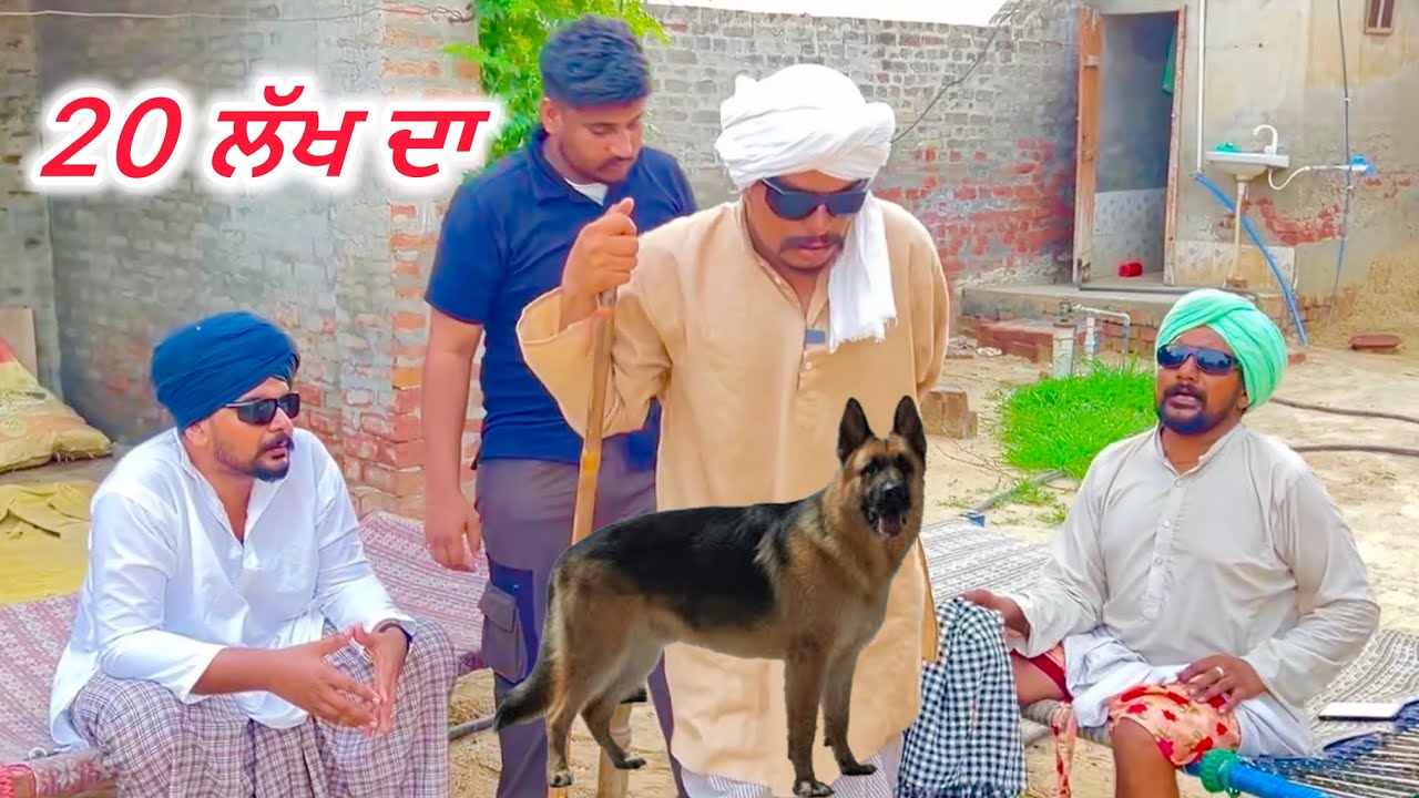 14 ਲੱਖ ਦਾ ਕੁੱਤਾ ਬਾਹਰੋ ਮਗਾਇਆ,20 ਹਜ਼ਾਰ ਲਓ ਕੁੱਤੀ ਭਰਾਈ ਦਾ … //new video jatt babe bandra to