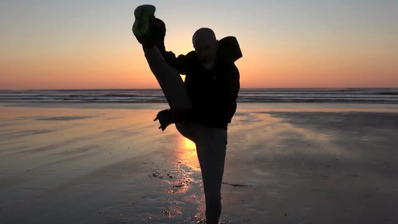 Arts martiaux chinois traditionnels (qi gong, taiji / taichi, kung fu shaolin, ziran men)