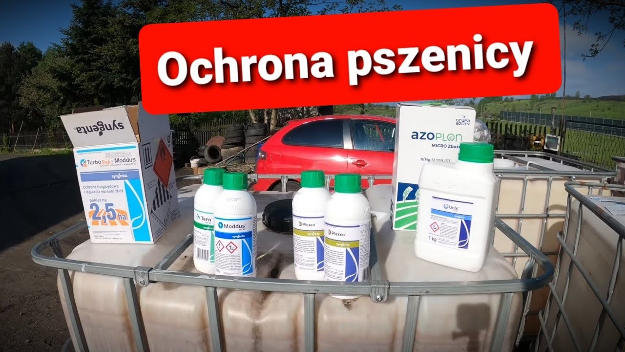🌟 Skuteczny zabieg fungicydowy w pszenicy 🌟 T1 +R1