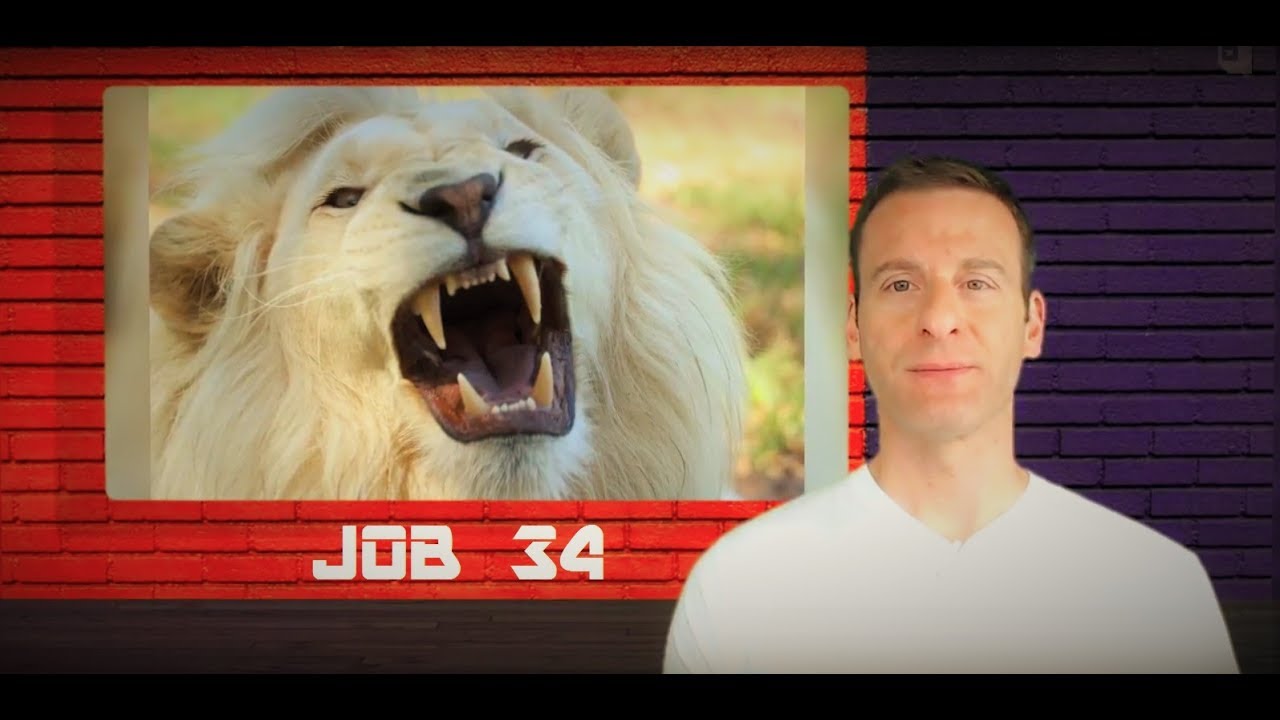 Job Chapter 34 Summary and What God Wants From Us