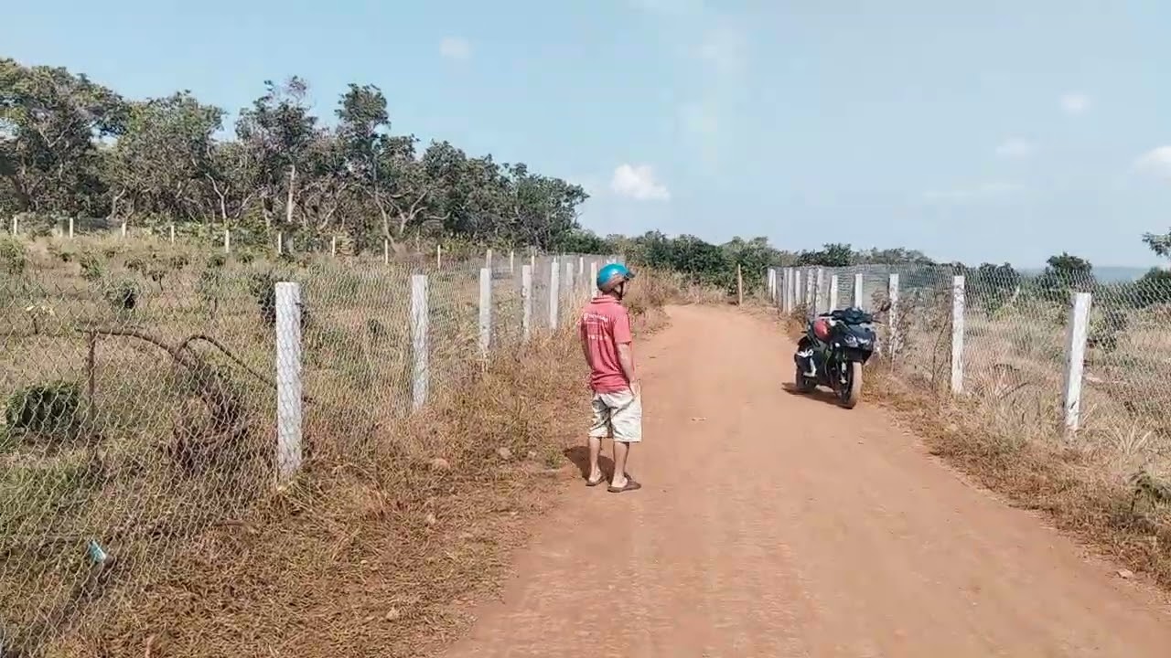 Bán 1,5ha đất vườn cafe 1 năm tuôi tại xa thọ sơn bù đăng .bp.....LH 0386155985 