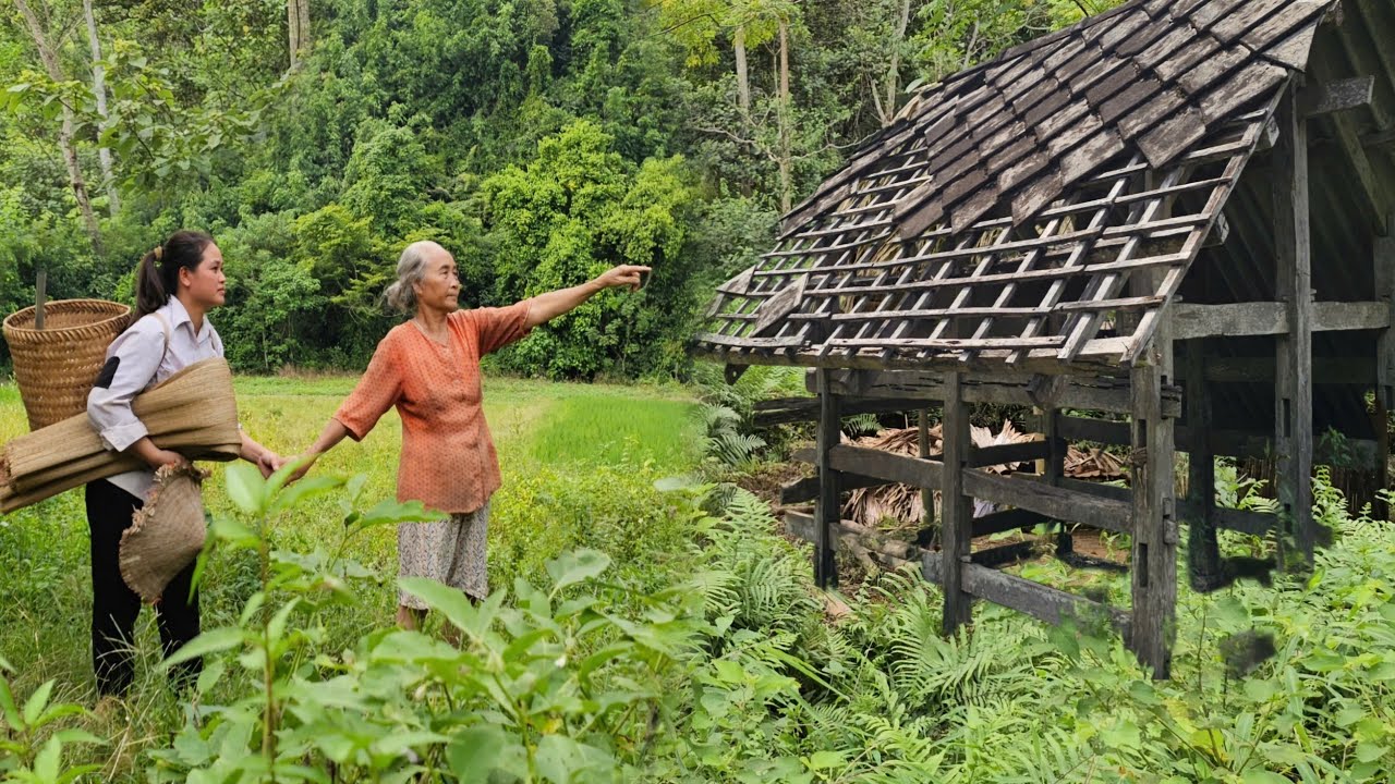 Full Video: Homeless girl is given an abandoned house at the foot of a mountain by an old woman