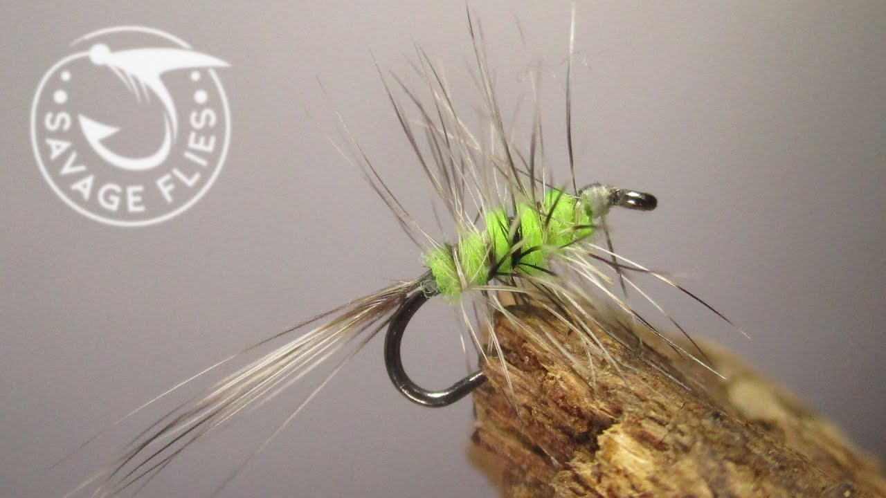 Tying (and fishing) a chartreuse Griffith's Gnat variation