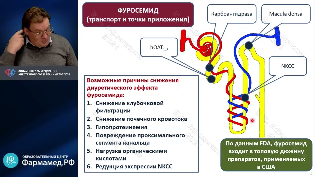 Диуретики Афончиков В.С.