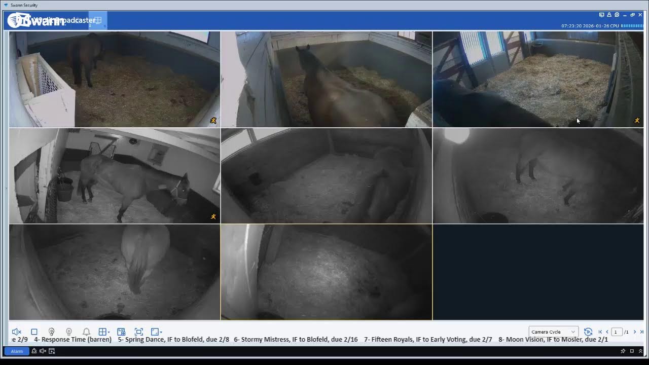 1/25/26 CLF livestream