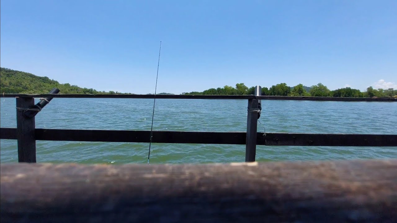 Relaxing and fishing / memancing santai