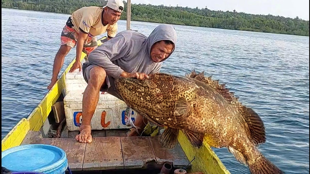 Mancing di spot pinggiran tak disangka di huni kawanan kerapu mosso babon