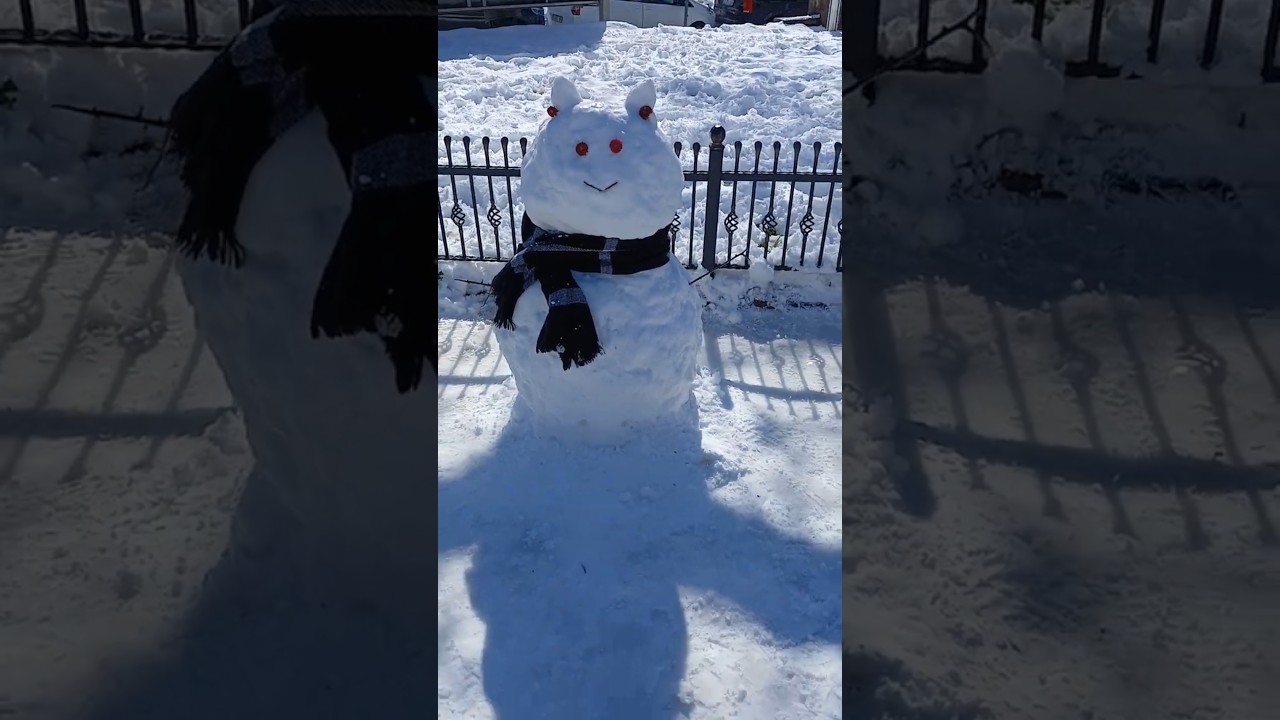 #İstanbul'da  2025 yılının ilk kar'ı ❄️ve kardan adamı ☃️ #kar