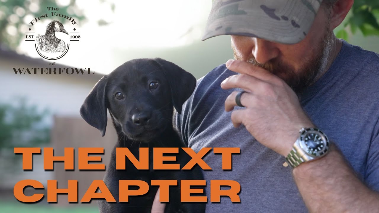 The First Family of Waterfowl: Season 4 Episode 8 - The New Chapter