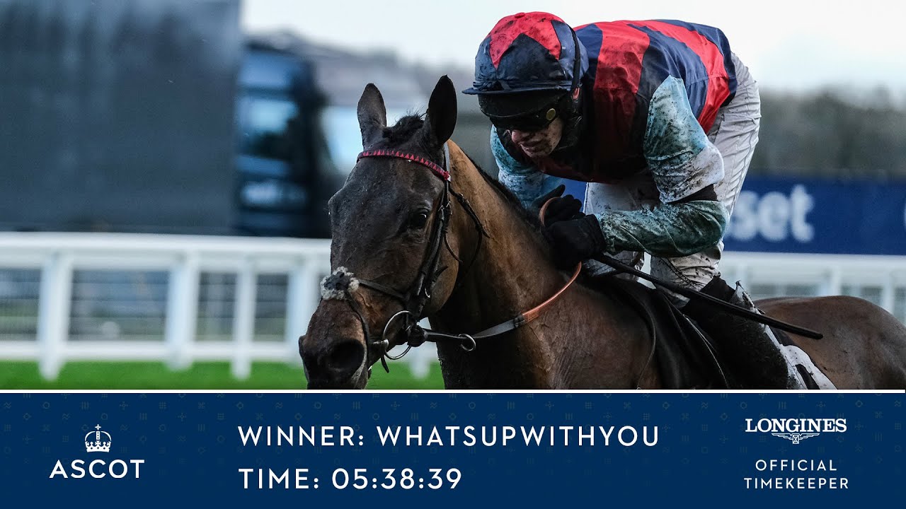 Whatsupwithyou Wins The Eventmasters.co.uk Maiden Hurdle Race