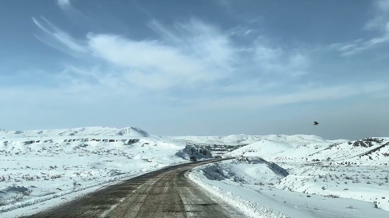 25 января 2026 г.