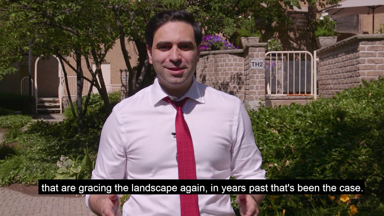 Canada Day Message 2020 - Peter Fragiskatos (M.P., London North Centre)