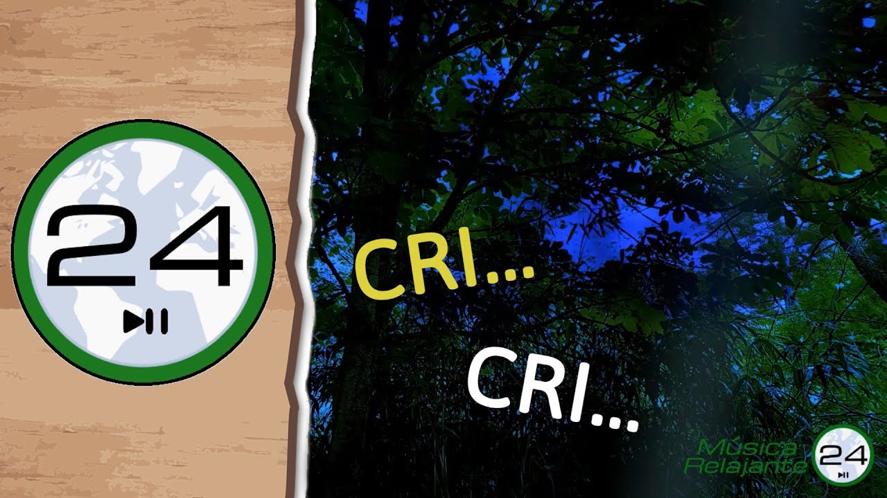 🎧 Sonido de GRILLOS en la NOCHE 🐜🌳🌓 para DORMIR - Relajante Ruido de Grillos Cantando - CRI CRI
