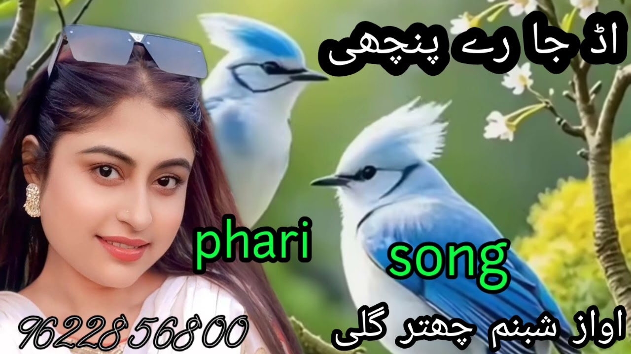 Ud ja re Panchi pahadi geet singer Shabnam Chatterguly gojari pahadi song folk song light music 