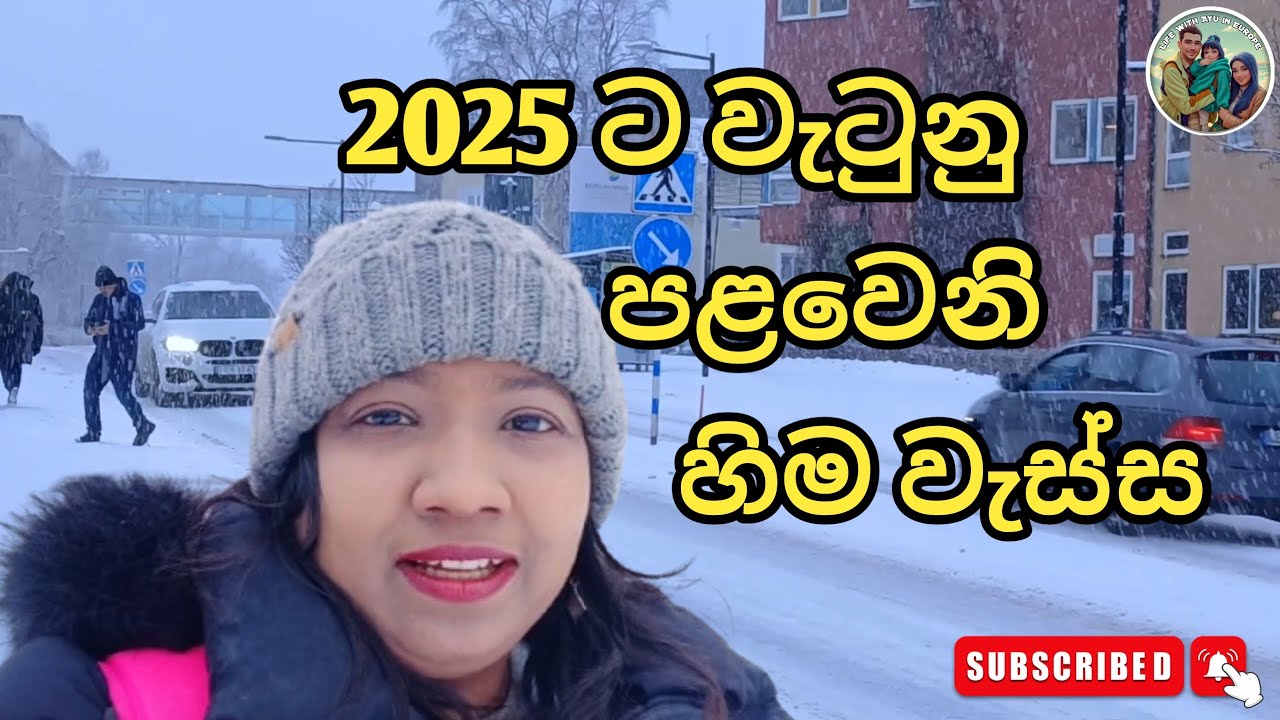 First Snow of 2025 in Sweden ❄️ හරිම ලස්සනයි… සුදුම සුදු පාටයි  🤍😊 #lifewithayu  #swedenvlog