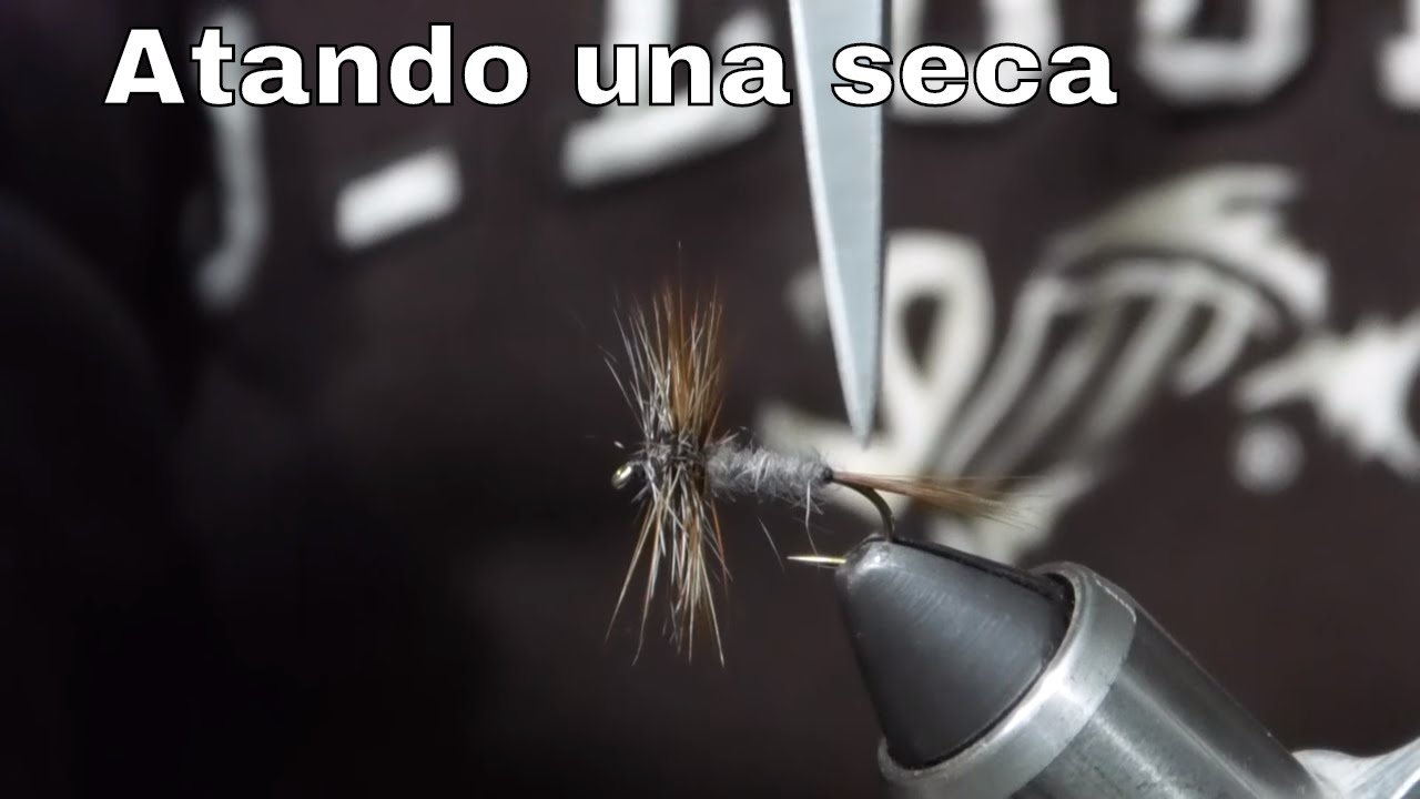 Atando una seca