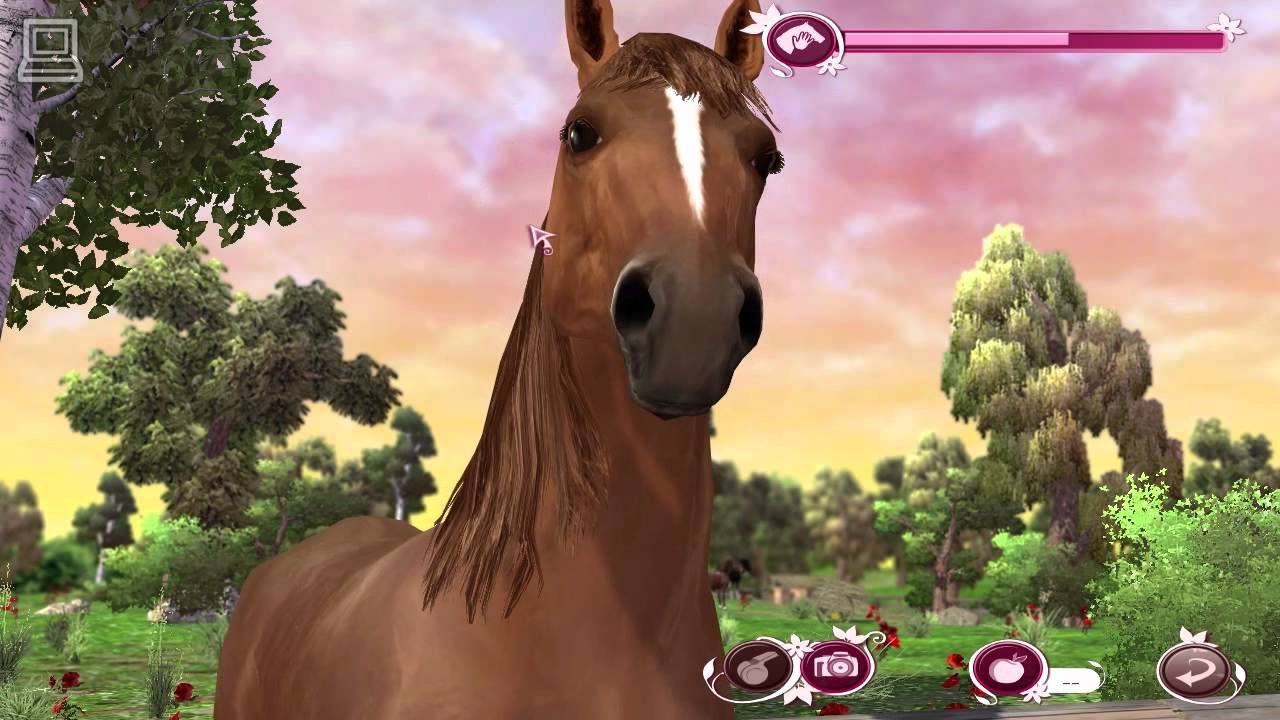 Ellen Whitaker's Horse Life : GeForce 8600M GT (part 1/4)