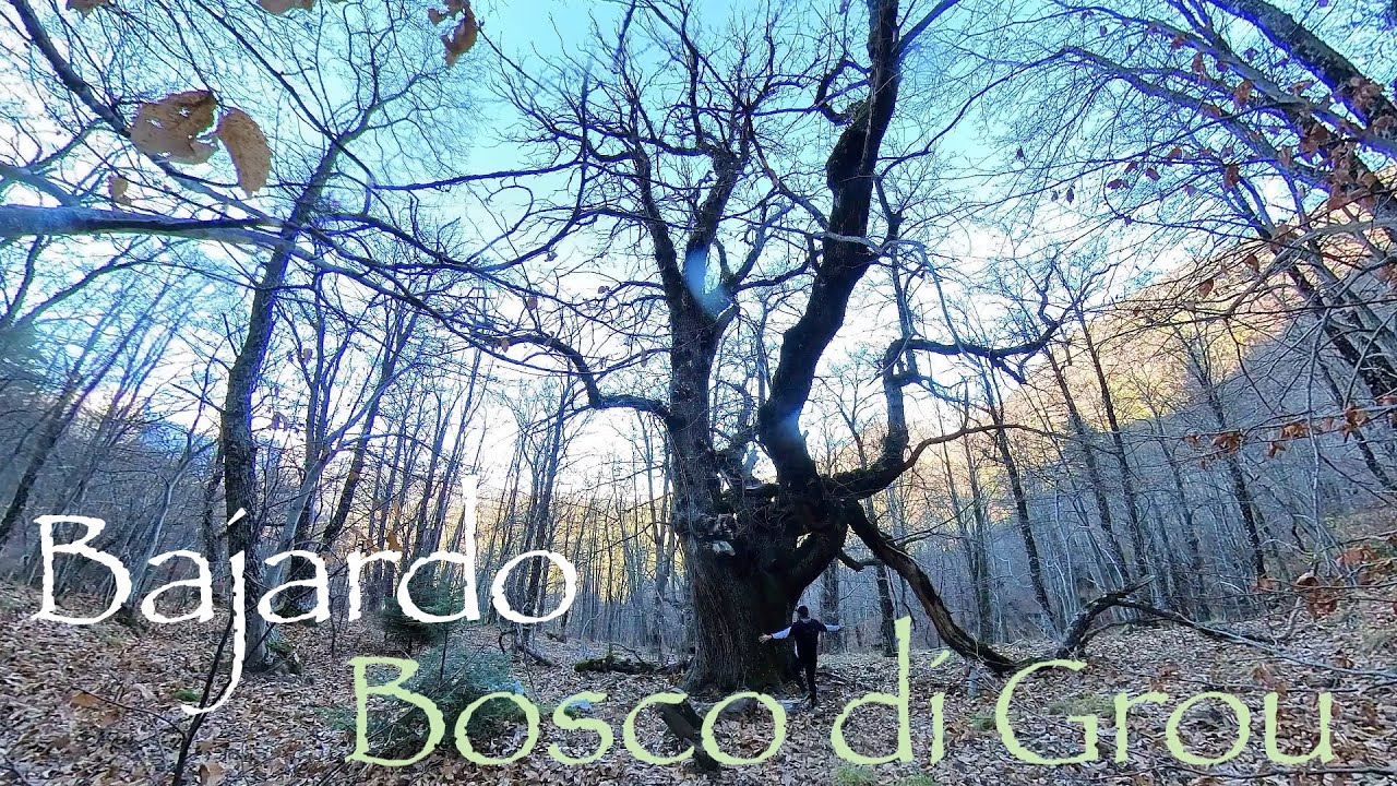 Bajardo - Bosco di Grou