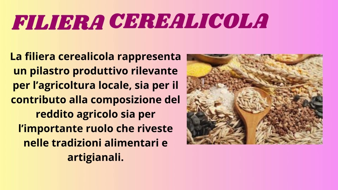 IL SISTEMA AGRICOLO E AGROALIMENTARE DI TORREMAGGIORE
