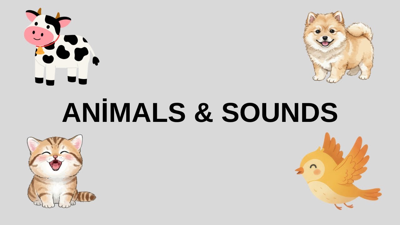 Learn Animal Sounds for Kids | Cat Dog Cow Bird | Kippy Kids