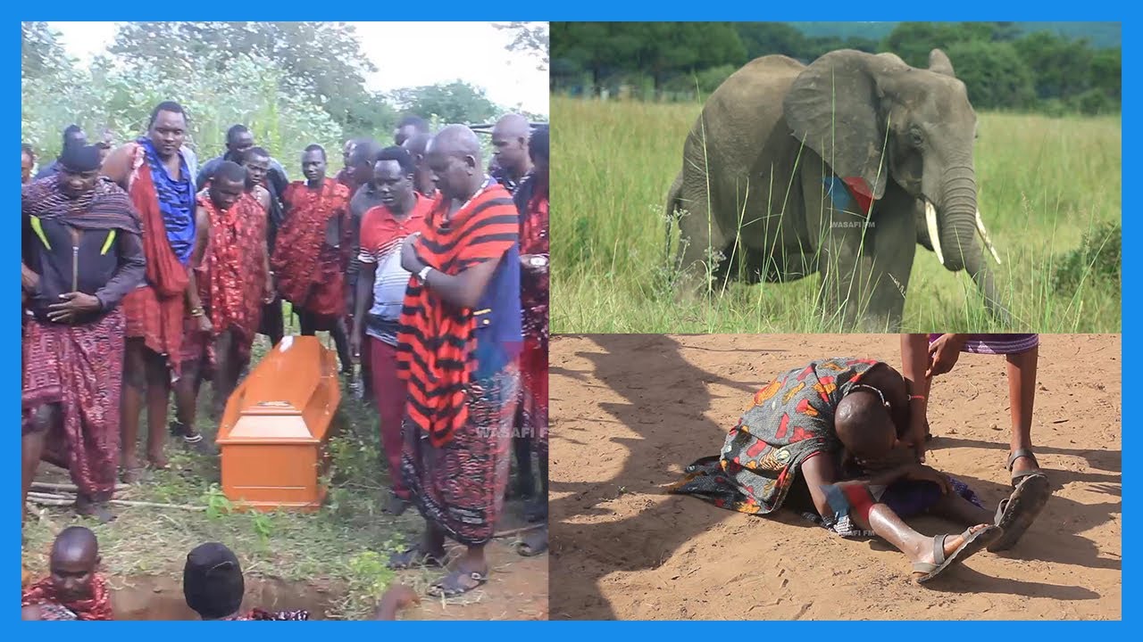 TEMBO AMUUA MWANANCHI KWA MENO YAKE, AMCHOMA MGONGONI, YATOKEA TUMBONI