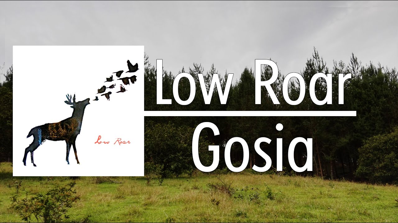 Low Roar - Gosia Subtitulado español