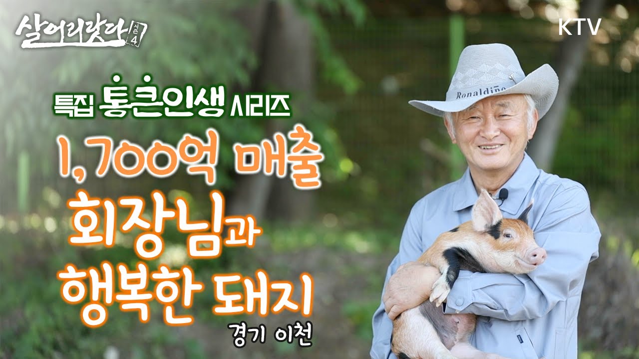 (경기 이천) 1,700억 회장님의 선택은 결국 동물복지 돼지였다! ktv, korea tv, welfare (통큰 인생 시리즈 2화)(시즌4)