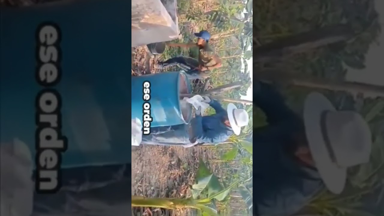Como nutrir correctamente tu plantación de 