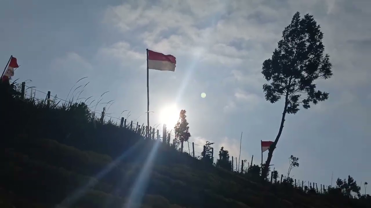 Taman bunga igir kandang