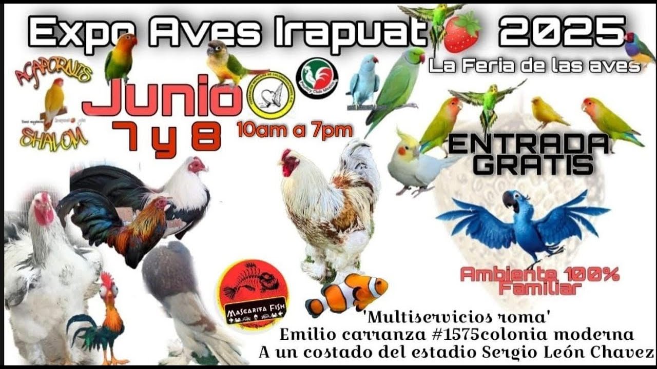 EXPO AVES IRAPUATO / JUNIO 2025
