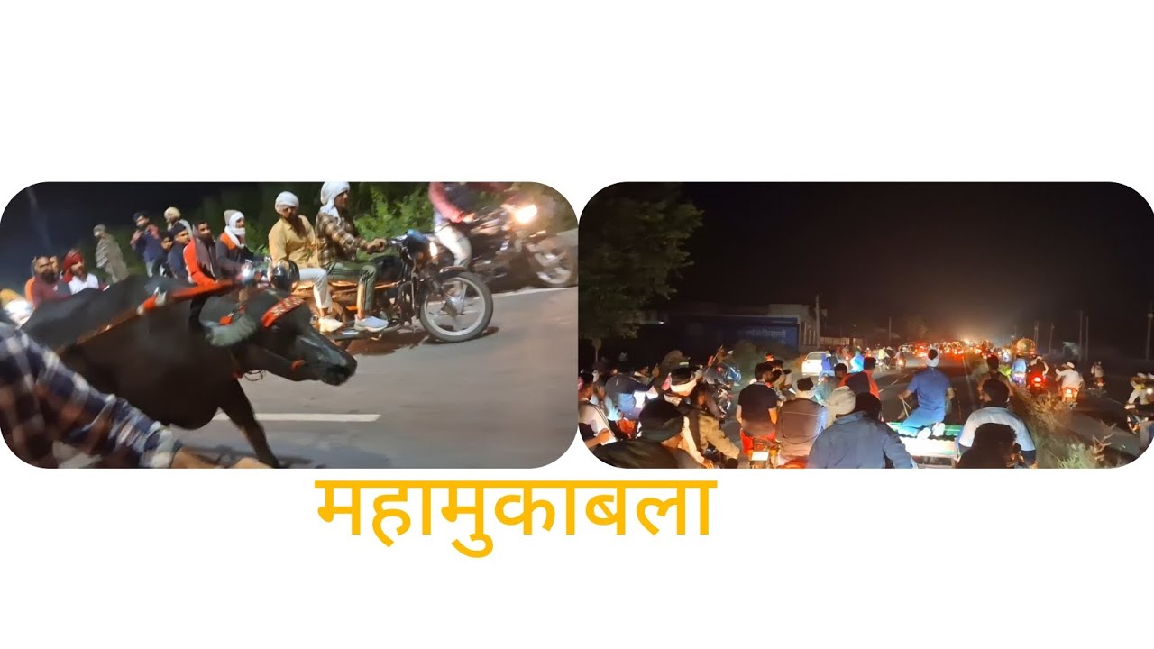 बोनची डबाना और रोबिन के बीच 72km कामहासंग्राम बोनची इस मुकाबले का विजेता #viralvideo #trandingvideo