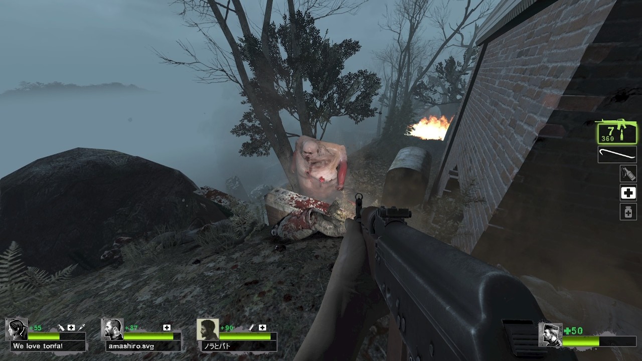Left 4 Dead 2 Expert Gameplay Norinco Type 56-2 and Drive Hammer Full Weapon Anim Mod