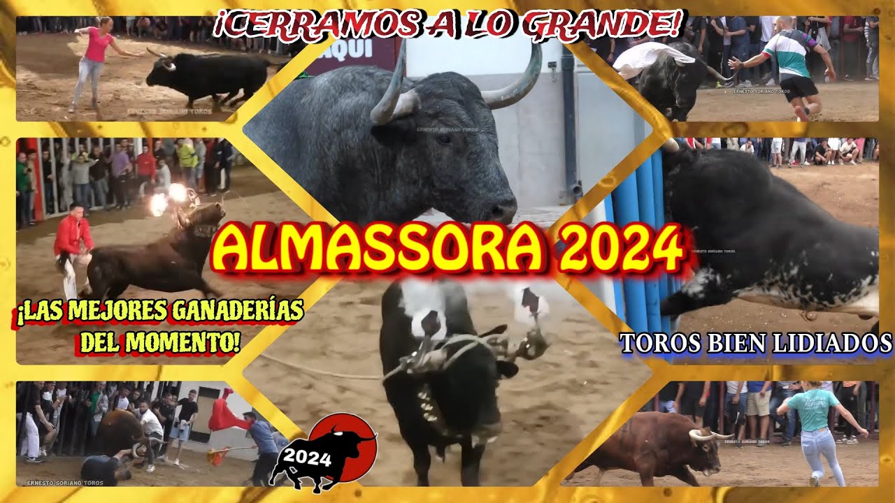 ¡ALMASSORA 2024! - FIN DEL VOL.1 DEL 2024