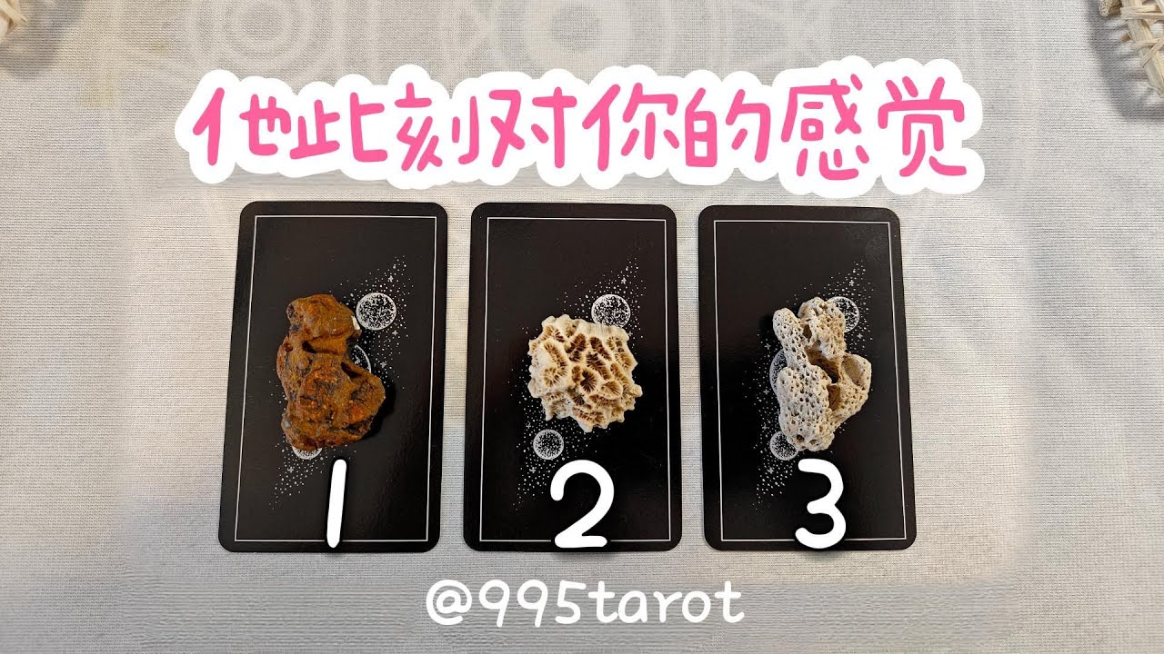 他此刻對你的感覺。他是真心還是假意？ 【不限時間/任何關系】  |曖昧|戀愛|感情|拉扯|塔羅占卜|