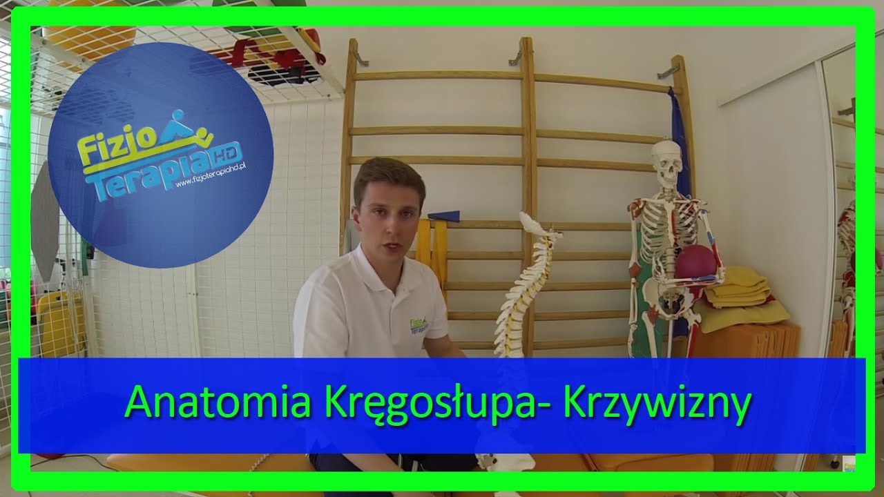Krzywizny kręgosłupa - Lordoza i Kifoza #3 FizjoTerapia HD