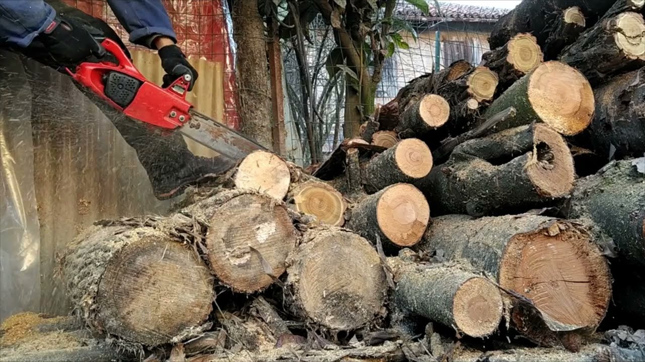 Homelite automatic 150 vintage chainsaw