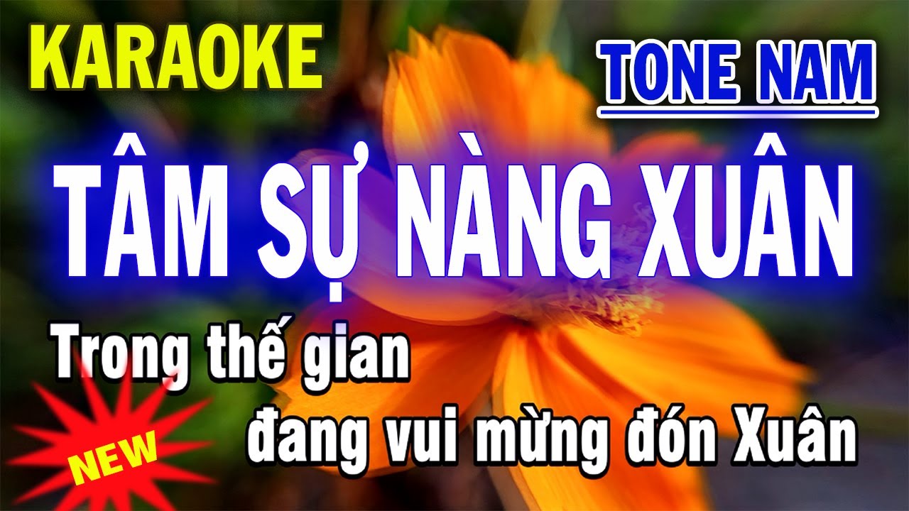 Karaoke Tâm Sự Nàng Xuân - Tone Nam - Beat Mới