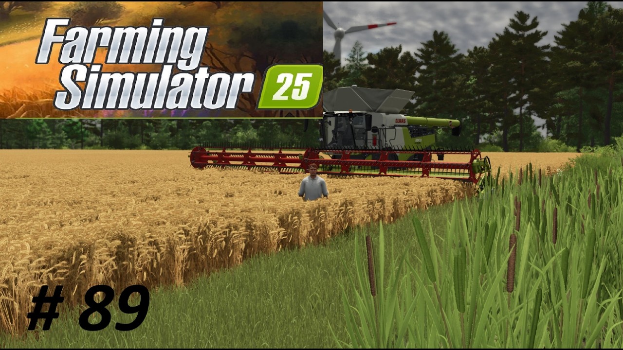 LS25 NFM # 89 Neuer Auftrag