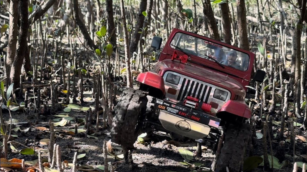 Off-roading Florida bayou 