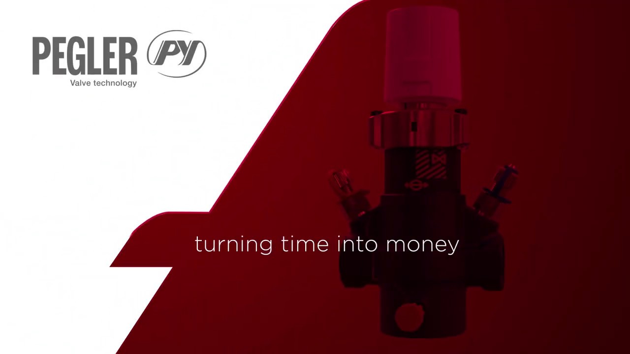 Pegler Proflow PICV Sales Module