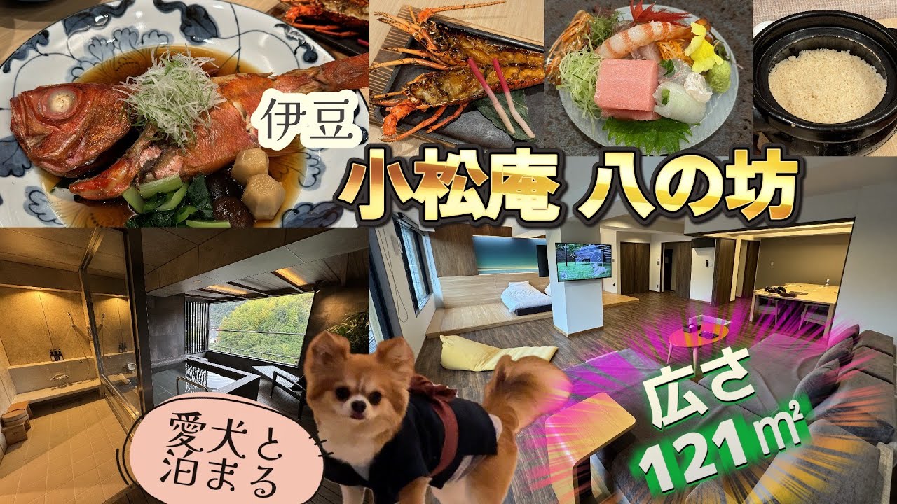 🐾【小松家 八の坊】伊豆にある“愛犬と過ごす極上な時間”がコンセプトの大人の隠れ宿⭐️部屋も広くてご飯も最高✨〜横浜赤レンガ倉庫“Re:Wharf”でステーキ（おまけw）