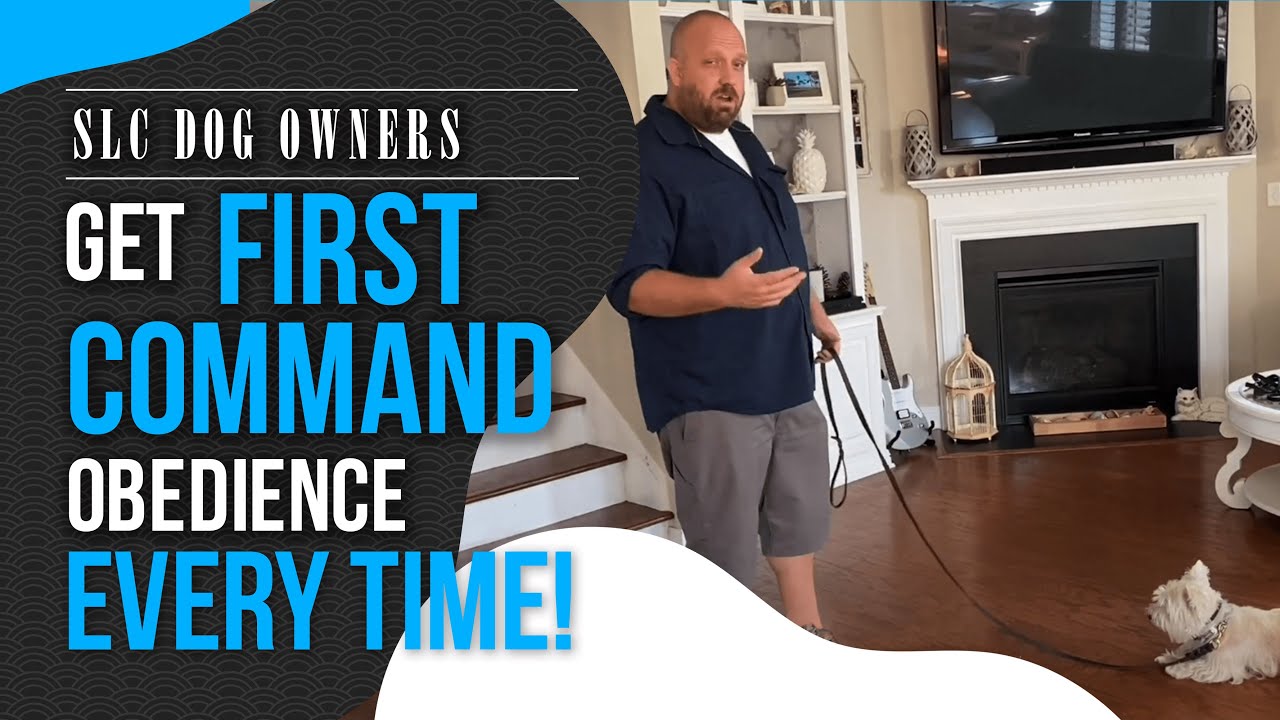 How Utah Dog Owners are Getting First Command Obedience Training With Their Dog